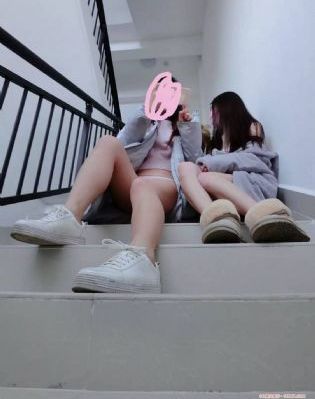 莫妮卡